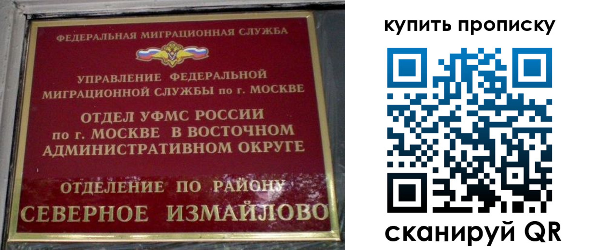 прописка в квартире в Жирновске